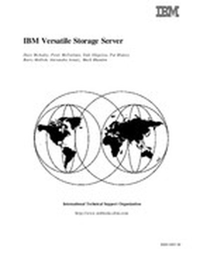 IBM Versatile Storage Server