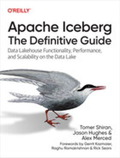 Apache Iceberg: The Definitive Guide