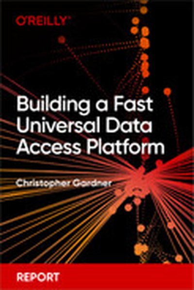 Building a Fast Universal Data Access Platform