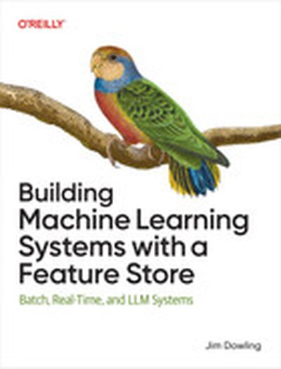 Building Machine Learning Systems with a Feature Store