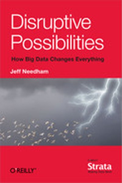 Disruptive Possibilities: How Big Data Changes Everything