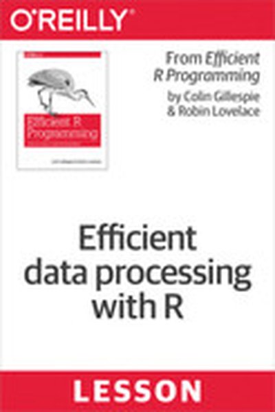 Efficient data processing with R