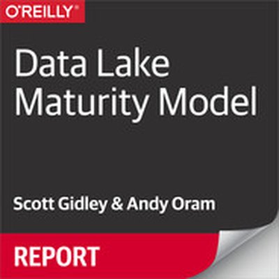 Data Lake Maturity Model