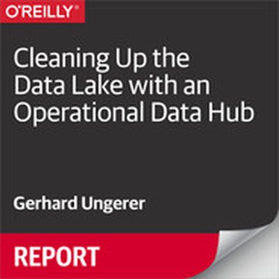 Cleaning Up the Data Lake with an Operational Data Hub