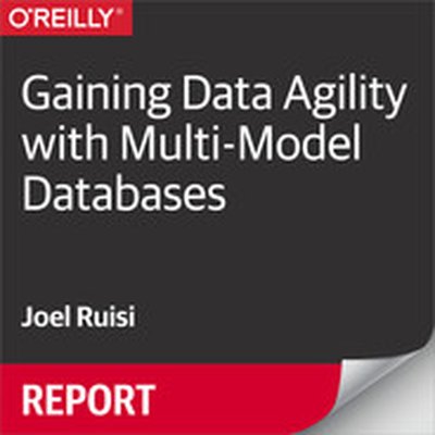 Gaining Data Agility with Multi-Model Databases