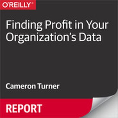 Finding Profit in Your Organization's Data