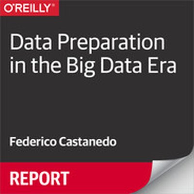Data Preparation in the Big Data Era