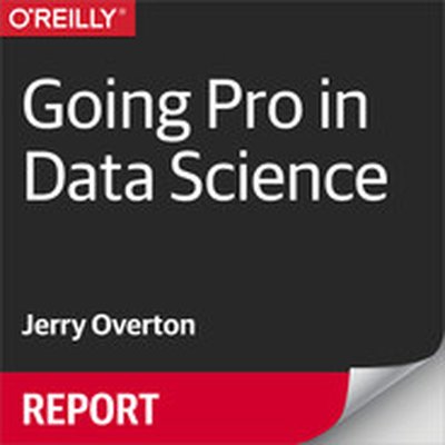 Going Pro in Data Science
