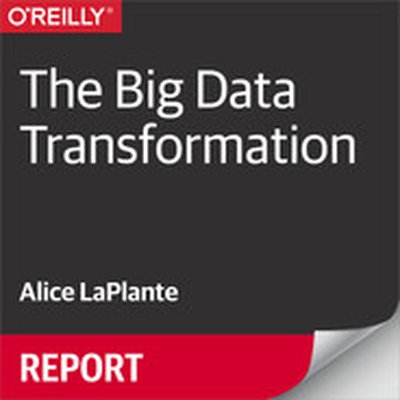 The Big Data Transformation