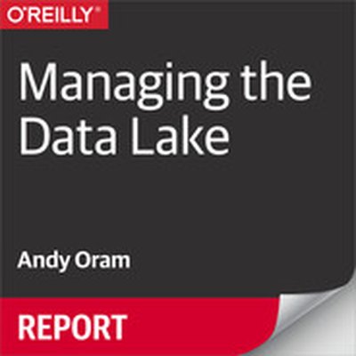 Managing the Data Lake