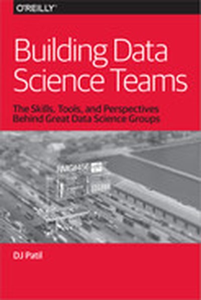 Building Data Science Teams
